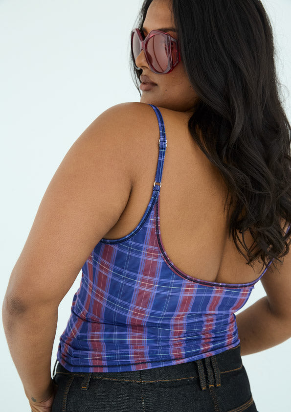 Reversible Mesh Tank